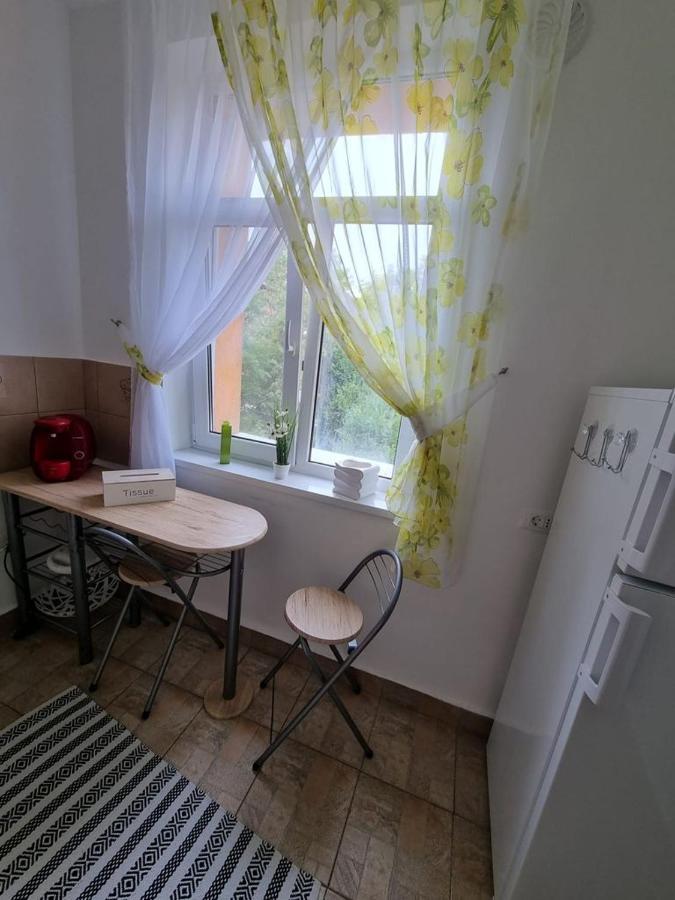 Sunrise Apartment Petroşani エクステリア 写真